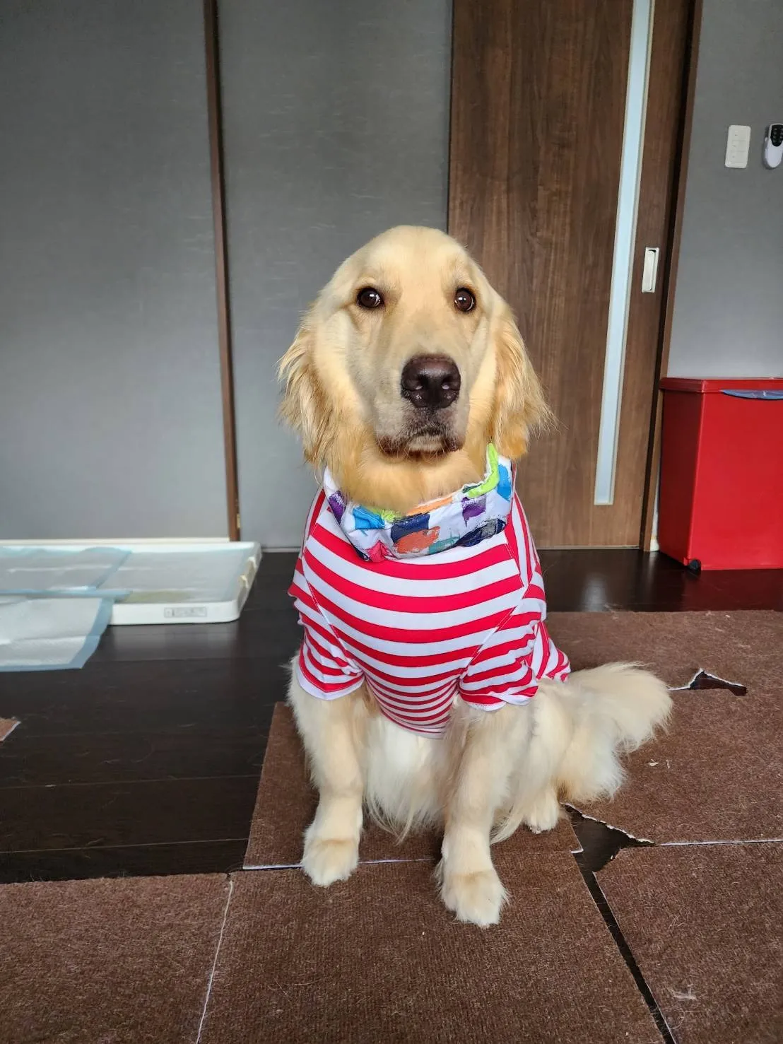 神戸市中央区で見つける!訪問介護の求人情報と働き方ガイド