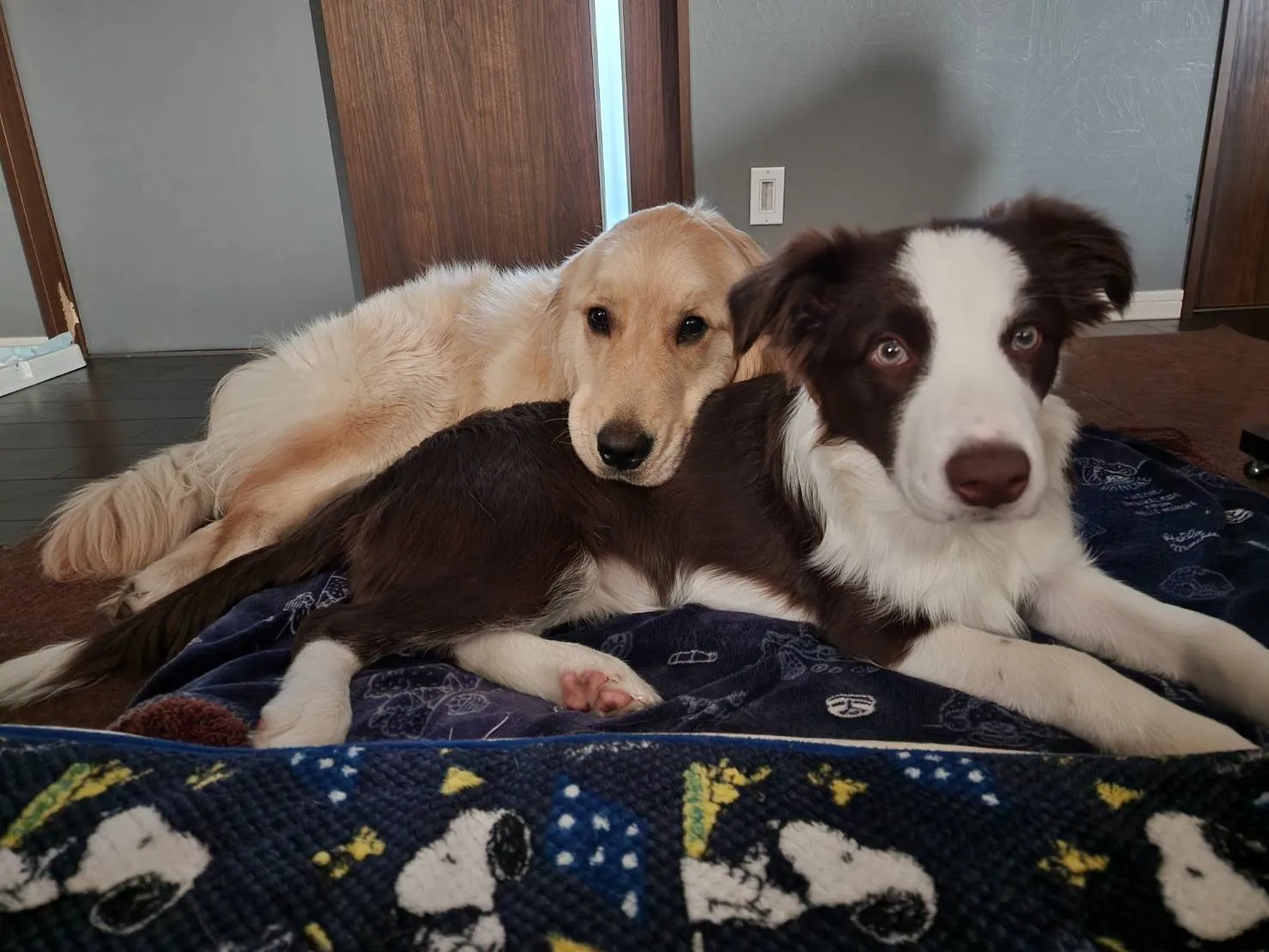 兵庫県神戸市兵庫区で見つける!夜勤専従訪問介護求人の魅力とポイント