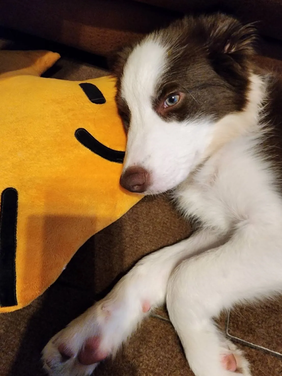 神戸市中央区で見つける!訪問介護パート求人の選び方と成功の秘訣