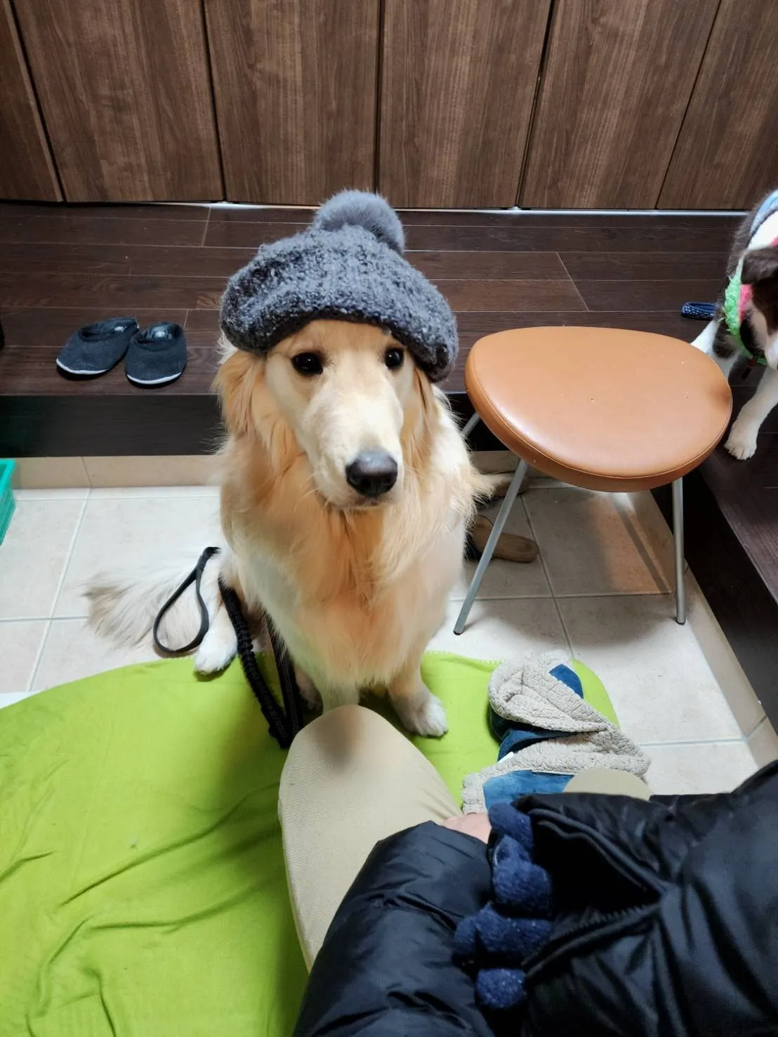 未経験から始める!神戸市北区での訪問介護求人の魅力と見つけ方