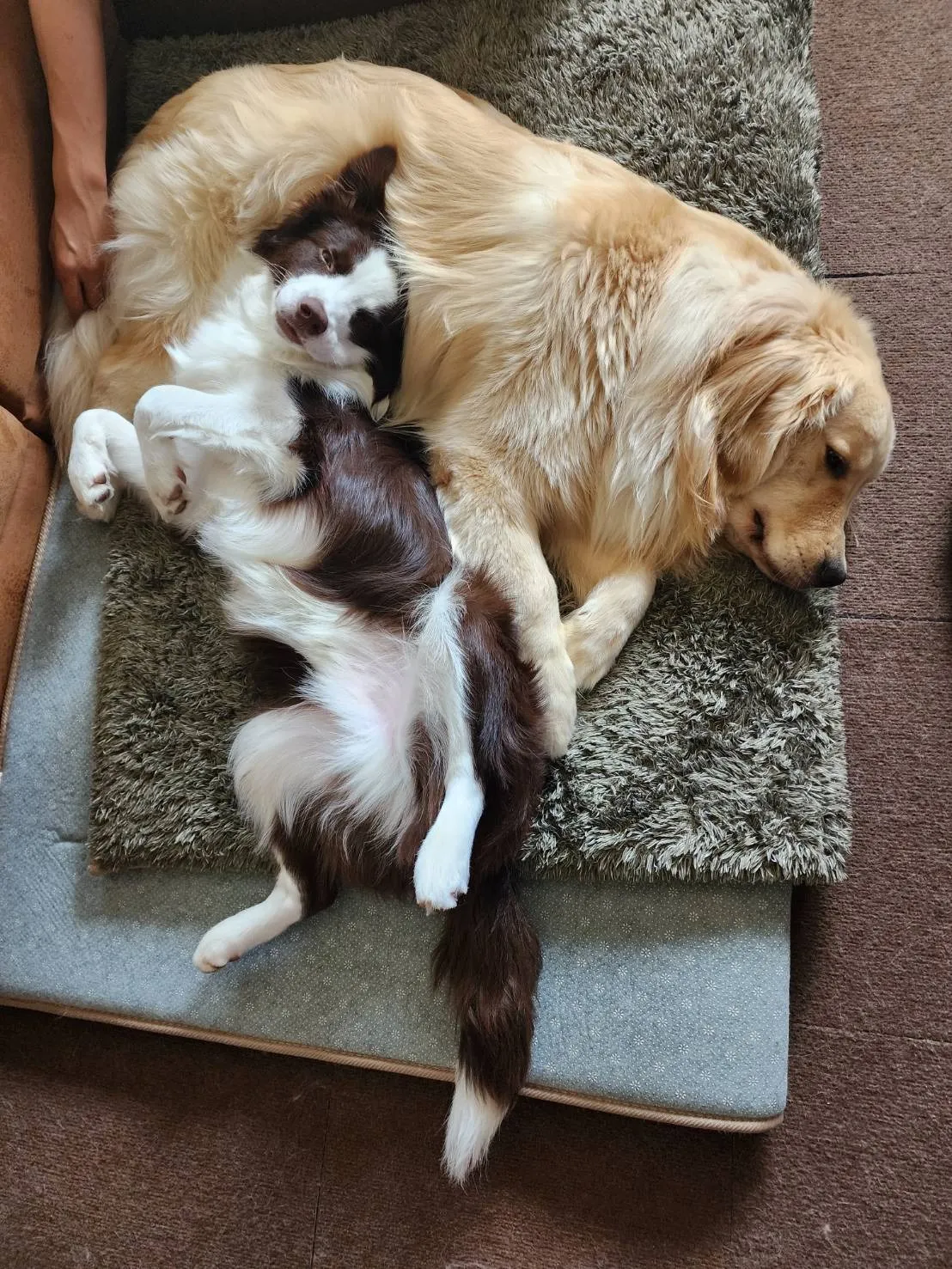 神戸市兵庫区での夜勤専従訪問介護求人: 地域密着型の安心サポートを目指して